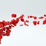 to know about qzobollrode