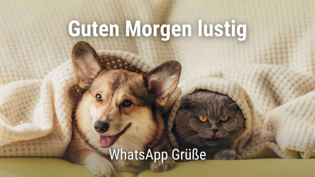 witzig frech guten morgen lustig