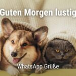 witzig frech guten morgen lustig