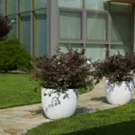 pflanzkübel xxl outdoor